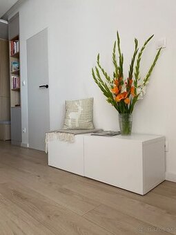 Skinka pod televízor so zásuvkami IKEA/Besta