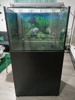 Akvárium - 1