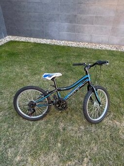 Detský bicykel - veľkosť 20”