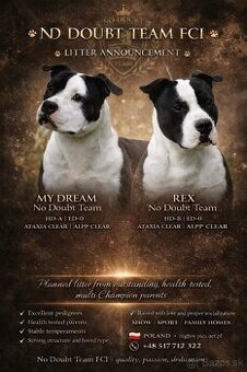 Na predaj šteniatka American Staffordshire Terriera