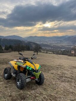 Can am renegade 800