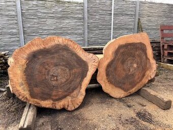 Priečne rezy kmeňom Brest Brestove Rezivo Drevo Koláče