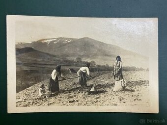 Staré pohladnice a fotografie