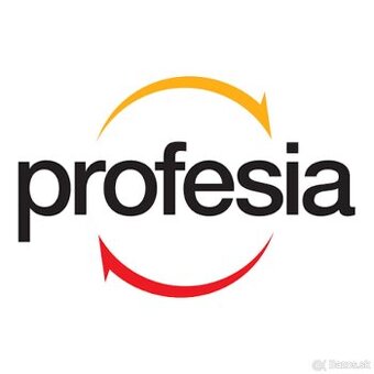 Administratívna / Spracovanie dát (Home Office) / brigáda