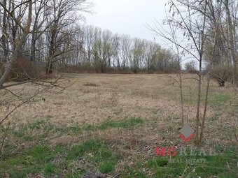 Rovinatý pozemok 17.000 m2 V. Kosihy (Komárno)