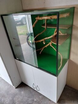 Terarium