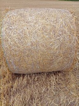 Predám balíkovanú slamu