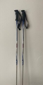 Lyžiarske palice 110cm