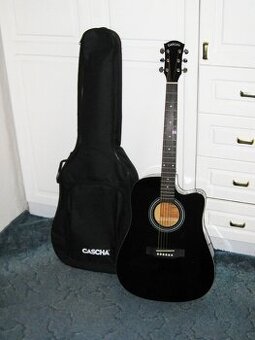 Gitara s kovovými strunami