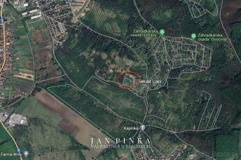 Záhrada s vybudovanou betónovou platňou na stavbu chatky - 1