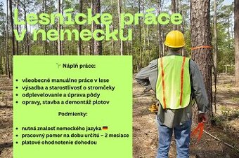 Sezónna práca v Nemecku – lesnícke práce 🌍🌲Nemčina nutná
