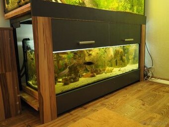 Predám akvárium s cichlidami