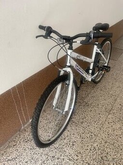 Damsky bycybel MTB 26 Denver Lady