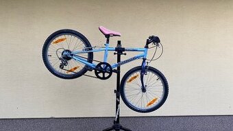 Bicykel author 20