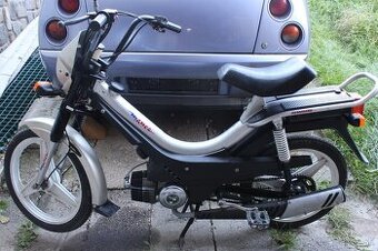 Manet Korado 216 "Forza"