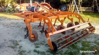 Radličkový kyprič