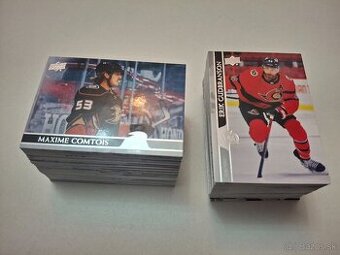 Hokejove karty,karticky - 2020/21 UD Extended Series