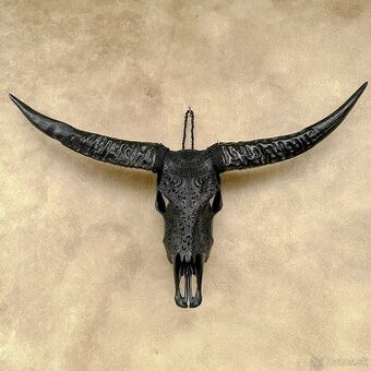 XXL čierna vyrezávaná lebka Vodného Bývola 100cm