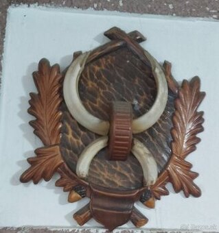 Trofej kly z diviaka