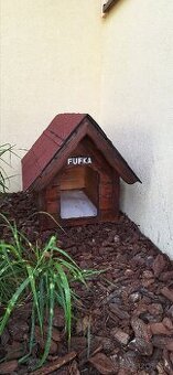 Psia búda - 1