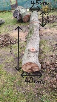 Orechové drevo - kmene na fošne, na nábytok