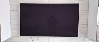 Samsung 65QES90F -  65 oled tv