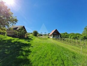 Rekreačný pozemok na predaj vo vinárskej oblasti Modrany