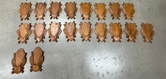 Trofej,parohy,parozie,srnec