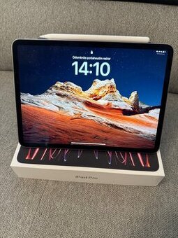 iPad pro 11inch 265gb 4th gen