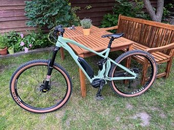 CTM Switch Pro 2019 Mullet
