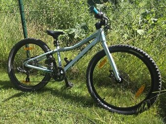 Scott 24"