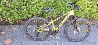 Dema Rebel 26 junior