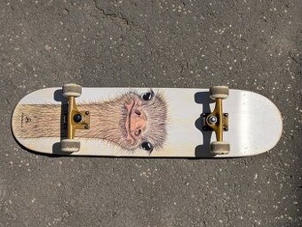 Skateboard Firefly