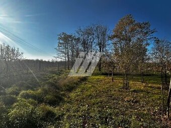 Na predaj: pozemok s vinohradníckym domčekom