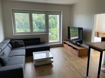 PRENAJOM 2i bytu v NOVOSTAVBE s garazovym parkovanim