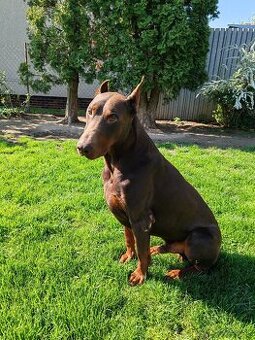 Doberman