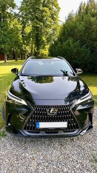 Lexus NX 2.5 Hybrid Executive Top (ML)
