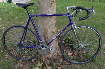 Buchel Shimano Exage 300