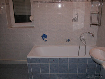 Dam do dlhodobeho prenajmu slnecny 3-izbovy byt v Skalici