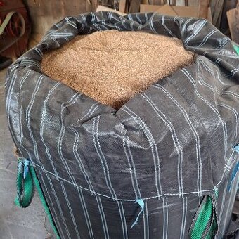 Predam pšenicu a jačmeň