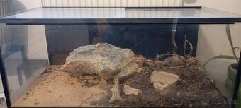 Predám Terárium-Akvárium
