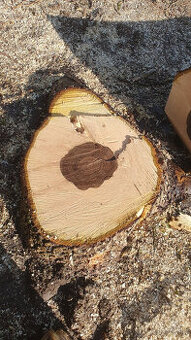 Predám orechové drevo