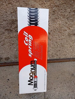 Zadná pružina MB W 203,W210.