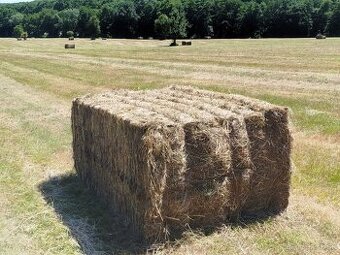 PREDAM VELKE BALIKY SENA