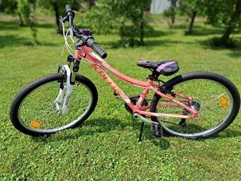 Kellys KITTER 50