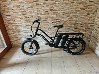 Cargo e-bike Keego KG4