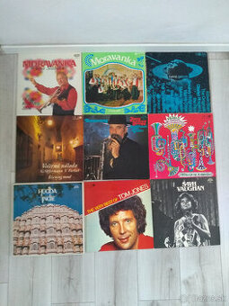 25+ kusov LP vinyl platne (len celok)
