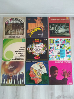 25+ kusov LP vinyl platne (len celok)