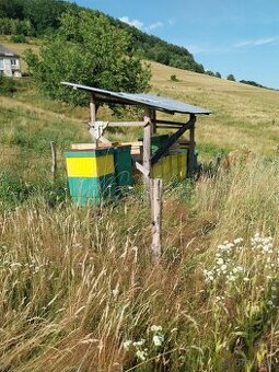 Včely