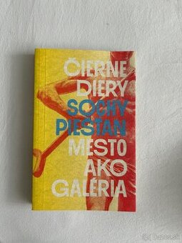 Sochy Piešťan kniha